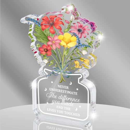 Retirement Gifts for Women, Never Understand the Difference You Made Keepsake and Paperweight,...
