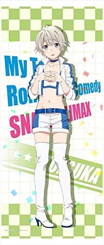 Amazon やはり俺の青春ラブコメはまちがっている 完 描き下ろし 戸塚 レースクイーン bigタペストリー アニメ 萌えグッズ 通販 Amazon やはり俺の青春ラブコメはまちがっている 完 描き下ろし 戸塚 レースクイーン bigタペストリー アニメ 萌えグッズ 通販