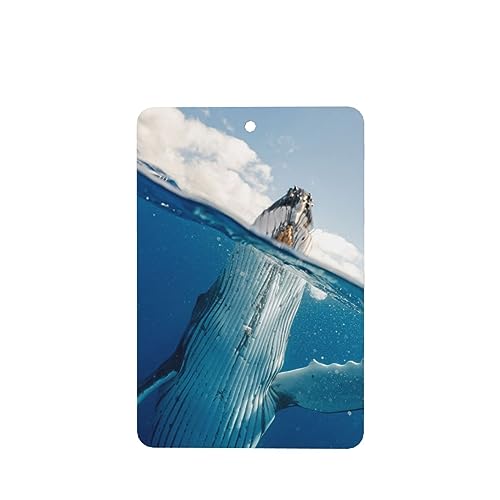 Sea Serpent ԗpF p[\iCYꂽXCX J[A}Zs[^ubg ݂艺F܃J[h [vt 4 ԂƂ̑p