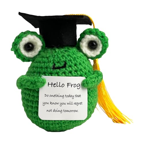 Bachelor Geschenk, Pocket Hug Gestrickte Ente, Positive Kartoffel Ersatz, Glücksbringer Prüfung Geschenk, Mutmacher Geschenk, Bachelor Master Abitur 2025 Geschenke (Frog)