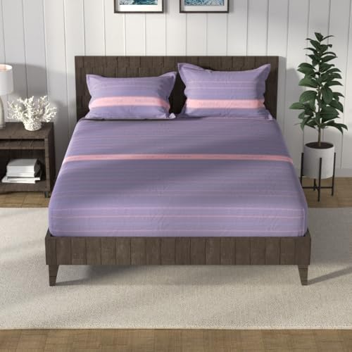 Image of NAUTICA Cotton King Bedsheet with 2 Pillow Covers -3pc Set (noridge) | 160TC | Super Soft Touch Stripe-Purple /Pink