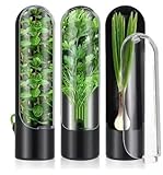 KnowBless 3 contenitori per conservare erbe aromatiche e verdure in frigorifero, per conservare erbe, coriandolo, menta, prezzemolo, asparagi, colore nero