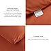 CozyLux Terracotta Queen Comforter Set, 3 Pieces Burnt Orange Rust Solid Breathable Quilted Bedding Sets, Luxury Fluffy Soft Bed Set with Down Alternative Comforter and 2 Pillowcases for All Season