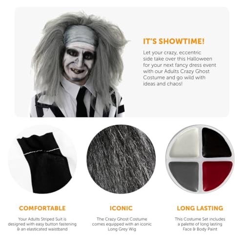 Adults Crazy Ghost Halloween Costume - Small - Black & White Striped Suit, Black Tie, Grey Wig, Facepaint - Mens 80s TV Film Halloween Fancy Dress Costume