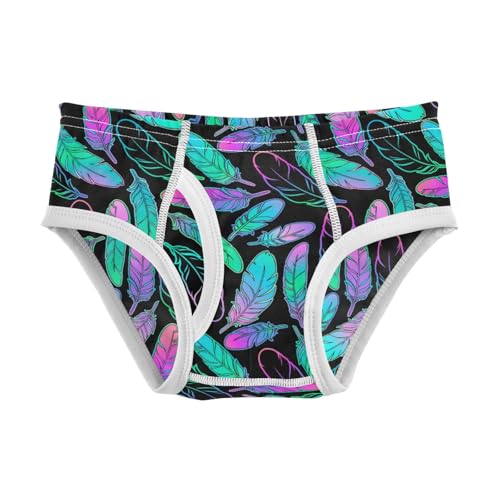 Boys' Exclusive Briefs Toddler Underwear 95% Combed Cotton Boxerbriefs 2T Vibrant Feather Pattern 89