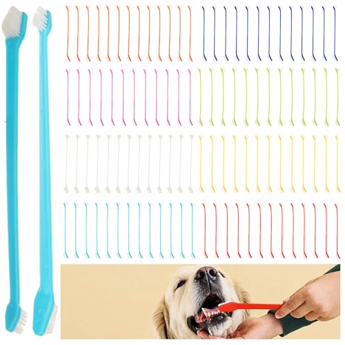 Brosses à dents double tête pour chien et chat | Lot de 200 en 10 couleurs
