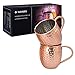 Navaris 2X Taza de Cobre para Moscow Mule - Set de jarras de Acero Inoxidable Chapado en Cobre de 500 ML - Tazas para Bebidas frías Cerveza cócteles