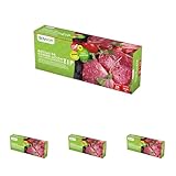 Bayeco - Bolsas De Congelación Pequeñas - Cierre Hermético Zip - Conserva Con Facilidad Tus Alimentos - Cómodo Dispensador - 20 Unidades, 17x25 cm (Paquete de 4)