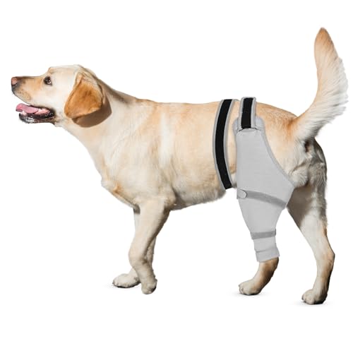 Image of Dog Rear Leg Sleeve to Stop Licking, Hind Leg Protector After TPLO Recovery, ACL Surgery, Wounds or Skin Issues, Soft Breathable Comfortable Cover for Large Medium Small Dogs, 2XL,Right, Light Black