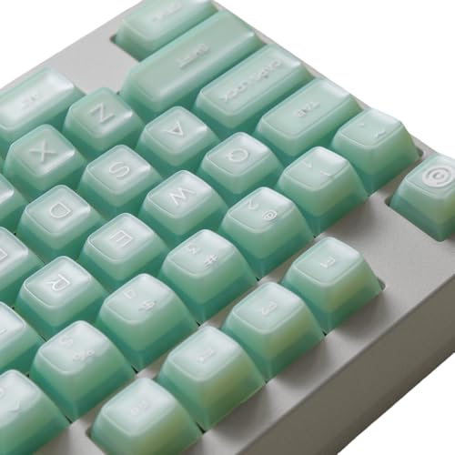 Touches en PBT Clavier Mécanique 160 Touches Profil RSA Translucides pour Lettrage Effacé