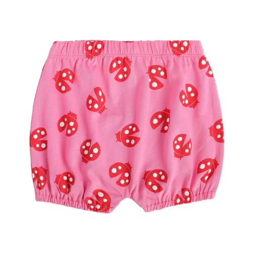 Image of miniklub Baby Elastic Knitted Cotton Printed Short, Pack of 3 (Multi Color)