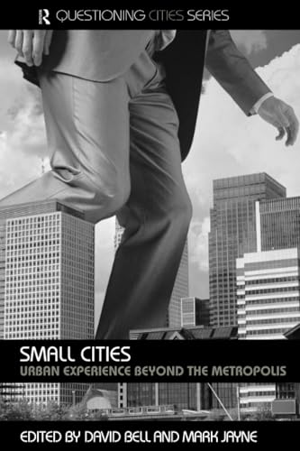 Small Cities (Questioning Cities)