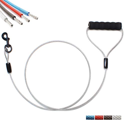 BAAPET 5 Feet Chew Proof Dog Leash with Coated Steel Cable and Soft Padded Handle Dog Leashes for Small, Medium and Large Dogs (White)