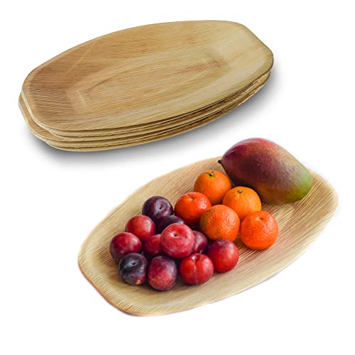 DISPOSABLE GREEN – Oval Disposable Serving Dishes, Areca Serving Tray, Serving Platter for Parties, Weddings, Catering, & More, Serving Plate for Hot & Cold Food, 25cm x 36cm x 2cm, 10-pcs