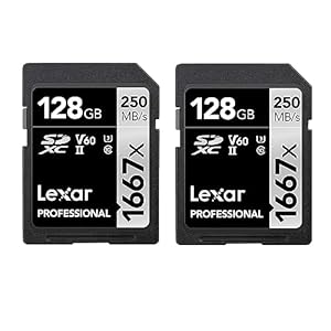 Lexar Professional 1667x SD Karte 128GB 2er-Pack, Speicherkarte SDXC UHS-II, Bis zu 250 MB/s Lesen, Class 10, U3, V60, SD für Professionelle Fotografen, Videofilmer, Enthusiasten (LSD1667128G-B2NAA)