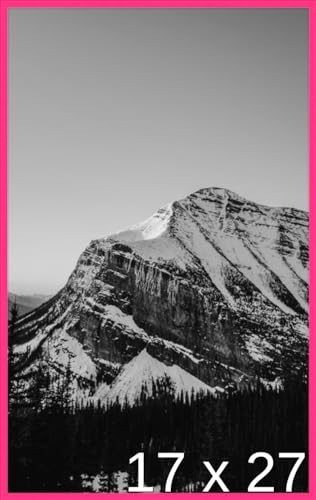 Frame It Easy 17 x 27 Hot Pink Metal Frame (Ashford)