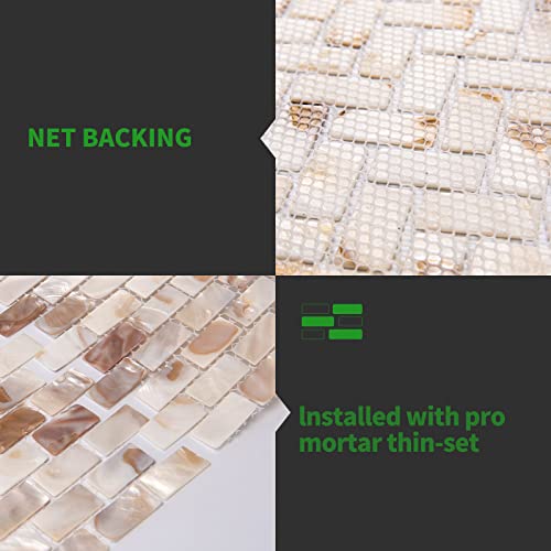 Longking Mother Of Pearl Tiles, Decorative Tiles (B-01, 1 Tile) #TOP4