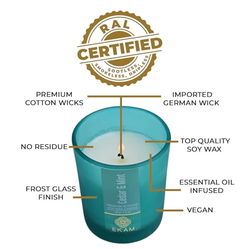 Image of EKAM Cedar & Mint Votive Soy Wax Scented Candle, 40 Grams, 10 Hours Burn Time| Long Lasting Premium Candles | Ideal for Home Decor | Gifting & Aromatherapy