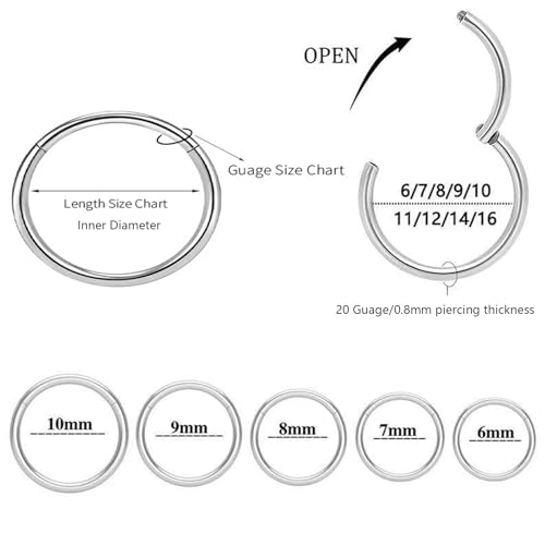 2Pcs Women Men Titanium Nose Rings Hoops 20G 18G 16G Hinged Nose Clicker for Nostril Septum Cartilage Helix Tragus Conch Daith Rook Lip Ear Lobe Piercings Diameter 6mm/7mm/8mm/9mm/10mm/12mm Sliver-Gold-Black-Rose Gold3