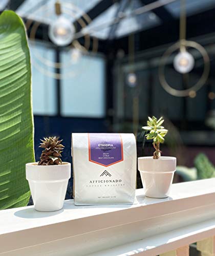 Afficionado Coffee Roasters' Dangora Cooperative Ethiopia Decaf