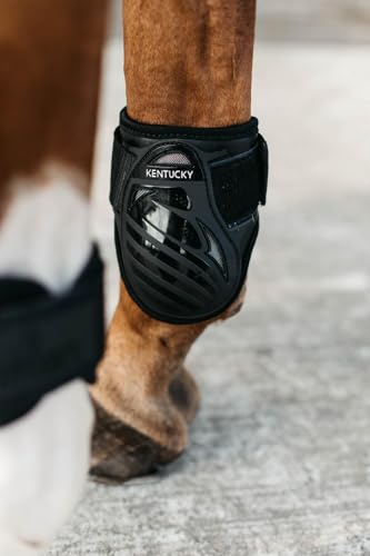 Protège-boulets Kentucky taille S noir jeune cheval CSO - 4