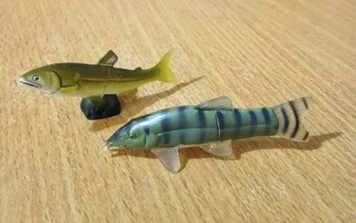 海洋チョコエッグ アユとアユモドキ 海洋チョコエッグ アユとアユモドキ