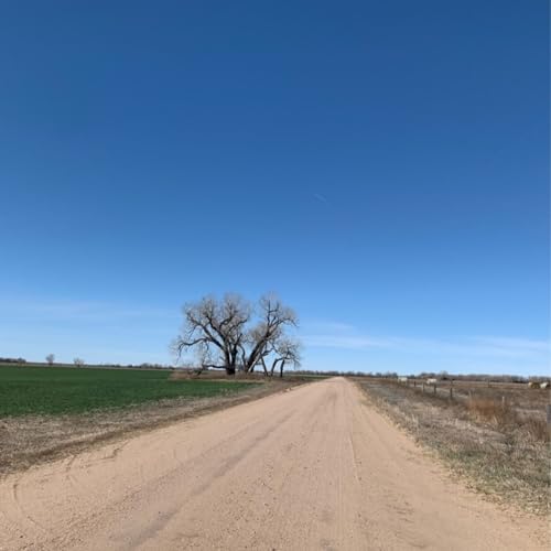 Mt. 5:39 &ldquo;Turn the other cheek&rdquo;