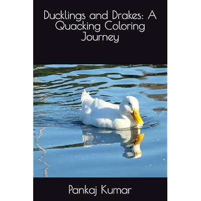 Ducks Drawing and coloring book for kids
