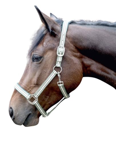 HKM Zürich Funda Ange Warmblut de algodón transpirable para caballos de hípica 2