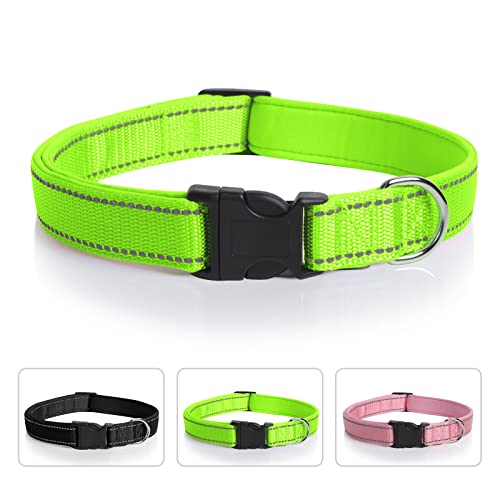 MYDAYTIN Collare per Cani in Nylon Imbottito