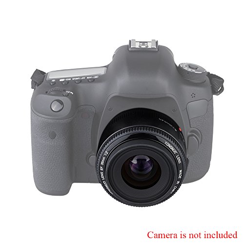 Image of YONGNUO YN35mm F2 Lens 1:2 AF /MF Wide-Angle Fixed /Prime Auto Focus Lens for Canon EF Mount EOS Camera