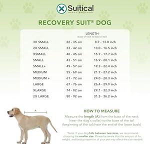 Suitical Recovery Suit for Dogs | Spay and Neutering Dog Surgery Recovery Suit for Male or Female | Soft Fabric for Skin Conditions | S | Neck to Tail 16.9”- 20.1” | Pink Camouflage Suitical Recovery Suit for Dogs | Spay and Neutering Dog Surgery Recovery Suit for Male or Female | Soft Fabric for Skin Conditions | S | Neck to Tail 16.9”- 20.1” | Pink Camouflage