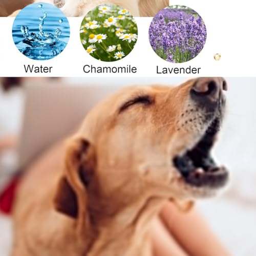 Cutiolly Beruhigendes Spray für Hunde,Tierentspannungs für Hunde,Spray Beruhigungsmittel für Hunde,Hunde Relax Spray,Beruhigendes Pheromonspray Für Hunde Katzen Haustiere