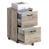 VASAGLE 2-Drawer File Cabinet, Small Rolling Filing Cabinet for Home Office, Printer Stand, for A4, Letter-Size Documents, 15.7 x 16.5 x 27.6 Inches, Heather Greige UOFC040LK02S