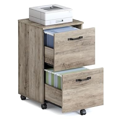 VASAGLE 2-Drawer File Cabinet, Small Rolling Filing Cabinet for Home Office, Printer Stand, for A4, Letter-Size Documents, 15.7 x 16.5 x 27.6 Inches, Heather Greige UOFC040LK02S