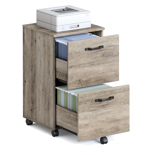 Image of VASAGLE 2-Drawer File Cabinet, Small Rolling Filing Cabinet for Home Office, Printer Stand, for A4, Letter-Size Documents, 15.7 x 16.5 x 27.6 Inches, Heather Greige UOFC040LK02S