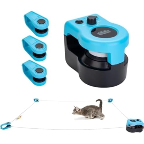 CknbJ{[AbvO[hL𗍂܂ɂ{\LddLAL̕ARAC^NeBuAʁAAHсAL[dL^sObYXgX (,10x 10x 10mm)