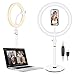 Neewer Lampa pierścieniowa do selfie do laptopa, komputera, 10", przyciemniane oświetlenie LED na biurko, ze stojakiem, uchwyt na telefon, 3 tryby świecenia, do wideokonferencji, czatu internetowego, makijażu, strumieniowania na żywo, selfie, kolor biały