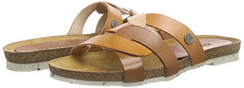 Jonny's Nayeli, Sabot Donna