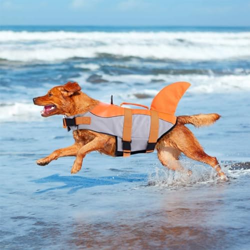 CITÉTOILE Schwimmweste Hunde Hai, Leicht und Sicher für Wassersport, hundeschwimmweste mit Griff und Reflektierend für Kleine Mittlere und Große Hunde, Orange, M