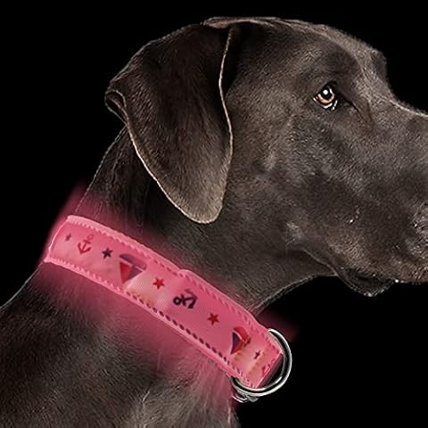 LED Dog Collar with Safety Buckle USB Rechargeable Flashing Dog Collar Adjustable Pet Collars Increased Visibility Super Bright for Small Medium Large Dog Cover