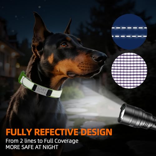 Hundehalsband Personalisiert mit Namen - Hundemarke mit Gravur, Reflektierend Gepolstertes Halsband Hund Verstellbar für Kleine/Mittlere/Große Hunde