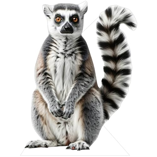 Image of Ring-Tailed Life Size Cardboard Cutout, 3FT, 1 PC, for Events | Fun Animal Standup for Birthday Parties, Party Decor, Photos, Home Decoration, Themed Celebrations, Room Decor