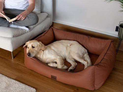 TrendPet Runa, Orthopädisches Kunstlederbett für Hunde, modisch in Kupfer und Grau (Kupfer, 100x75x30 cm)