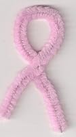 Me, mammography, and mastectomies 0615321453 Book Cover