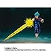 S.H.Figuarts Super Saiyan God Super Saiyan Vegetto-Super-