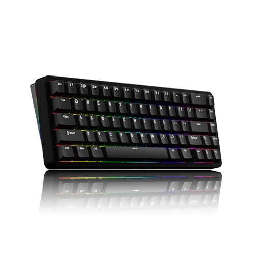 Chilkey ND65 ���C�����X �A���~�j�E�� ���J�j�J�� �L�[�{�[�h 65% ���C�A�E�g �|�[�^�u�� �Q�[�~���O�L�[�{�[�h �g���C���[�h BT5.0/2.4GHz/USB-C �z�b�g�X���b�v�\ �J�X�^�� RGB �o�b�N���C�g�t���L�[�{�[�h �m�[�g�p