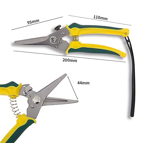 WHZSH Specialisten Resistant Foot Rot Shears Schapen Paard Bloemist Tuin Scherpe Schaar Kaken Hoof Shears Trimmen Prun… - Image 7