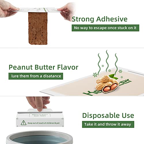 Kensizer 36 PACK 36-Pack Mouse & Insect Glue Traps Trampas Para Ratones Pest Trap thumb #2