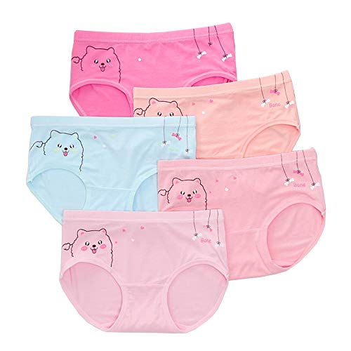 CHUNG Toddler Little Girls Cotton Soft Cute Boyshort Panties Underwear Pack Mermaid Stripes 2-9Y (7-8 Years, Pet Puppy)